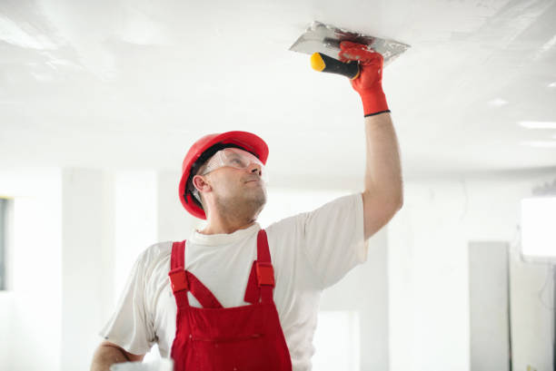 Professional Dry wall and painting in Durand, WI